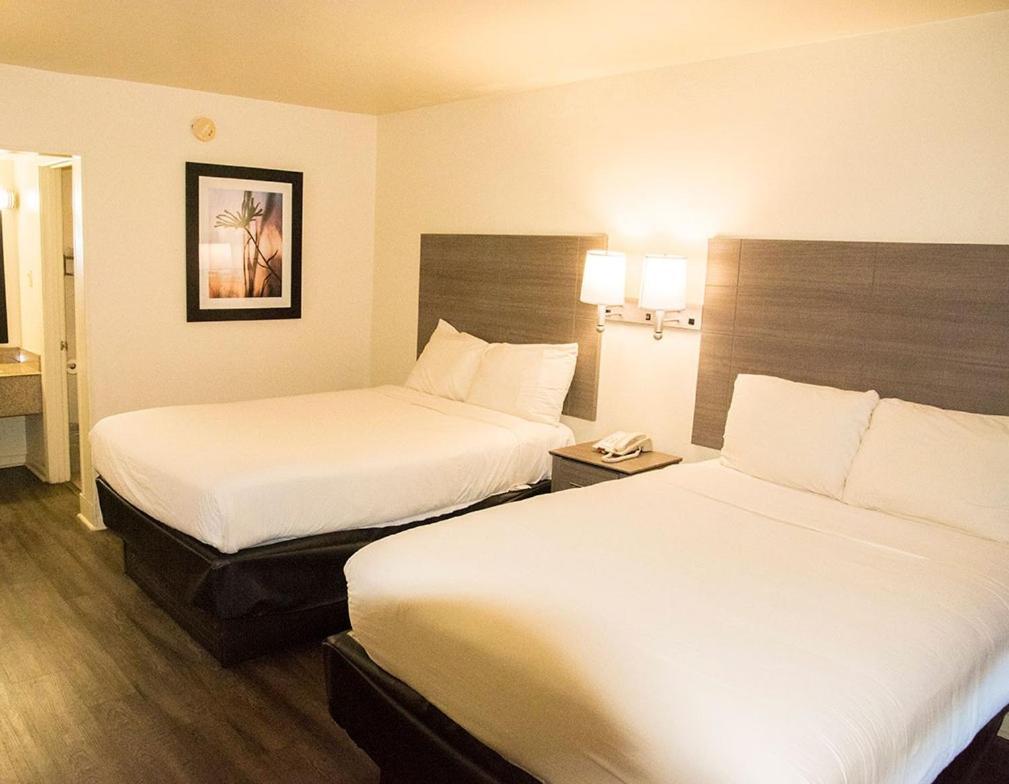 Exacta Inn Minden Экстерьер фото